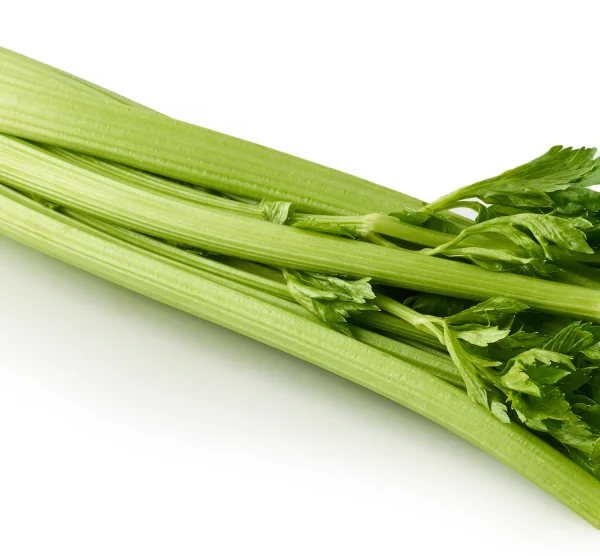 Organic Celery 1ct