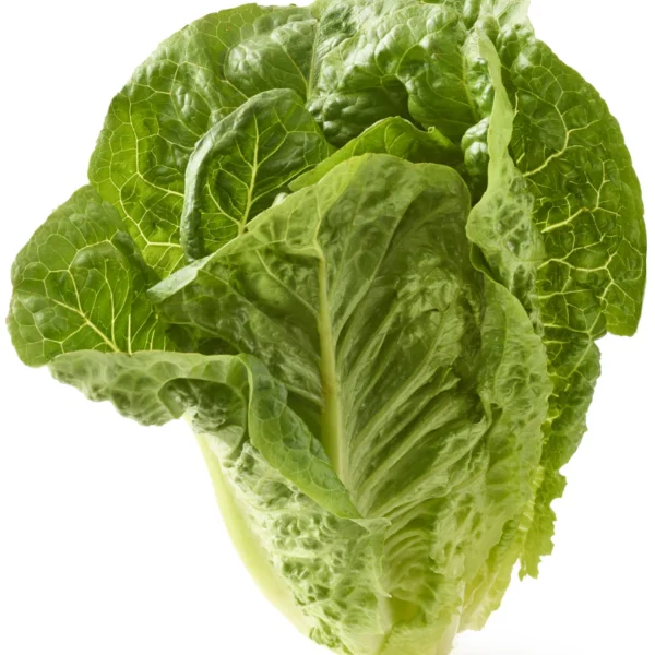 Organic Romaine Lettuce 1ct